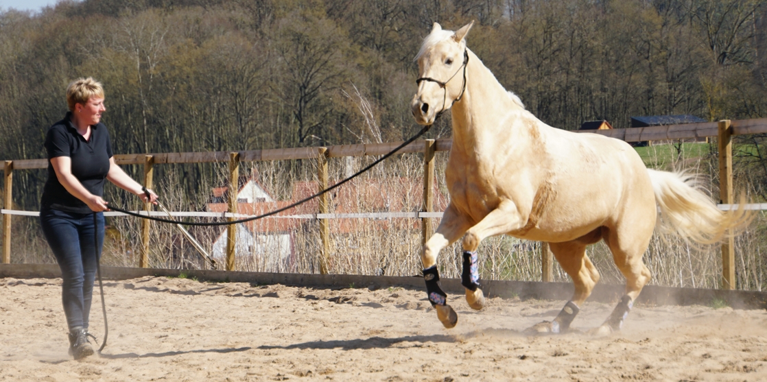 Tanja_Buck_Beritt_Pferdeausbildung