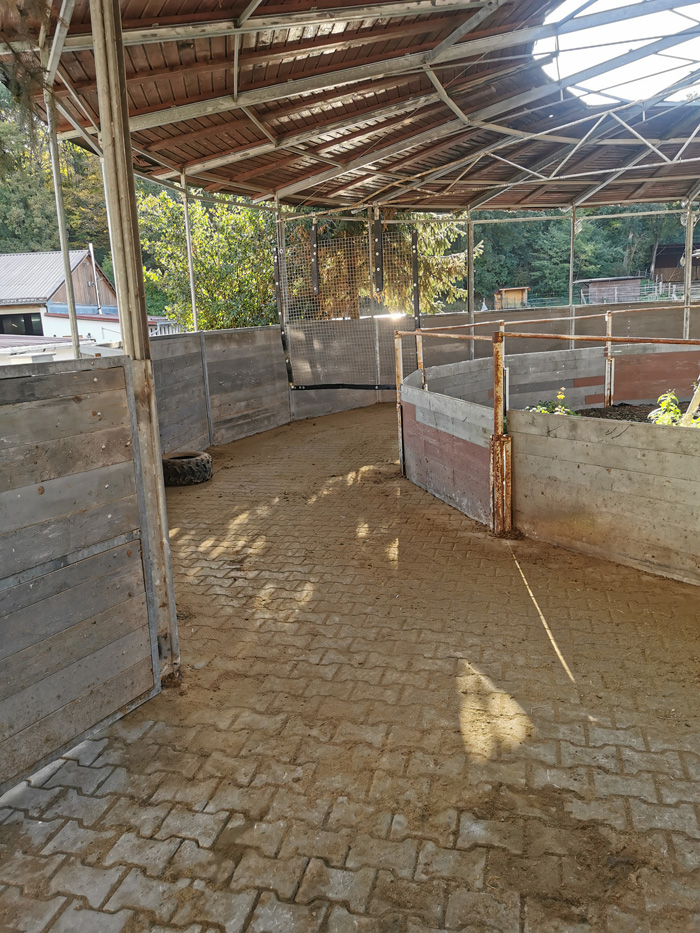 Reitanlage_Daubersbach_Tanja_Buck_Fuehranlage Reitanlage_Daubersbach_Tanja_Buck_Fuehranlage
