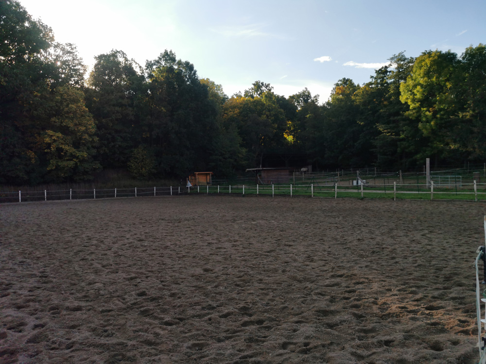 Reitanlage_Daubersbach_Tanja_Buck_Reitplatz_2 Reitanlage_Daubersbach_Tanja_Buck_Reitplatz_2