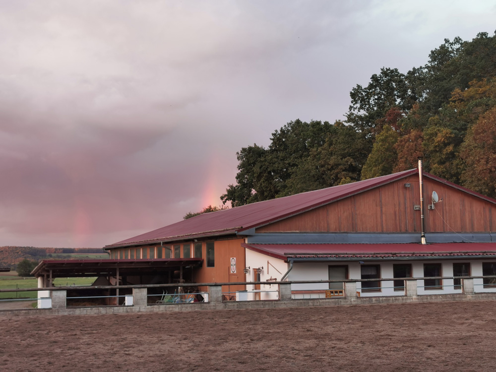 Reitstall_Daubersbach_Tanja_Buck_Pferde Reitstall_Daubersbach_Tanja_Buck_Pferde