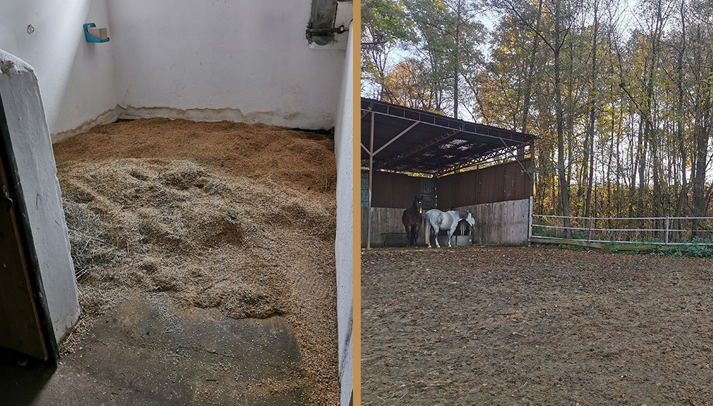 Reitanlage_Daubersbach_Tanja_Buck_Stallungen_1 Reitanlage_Daubersbach_Tanja_Buck_Stallungen_1